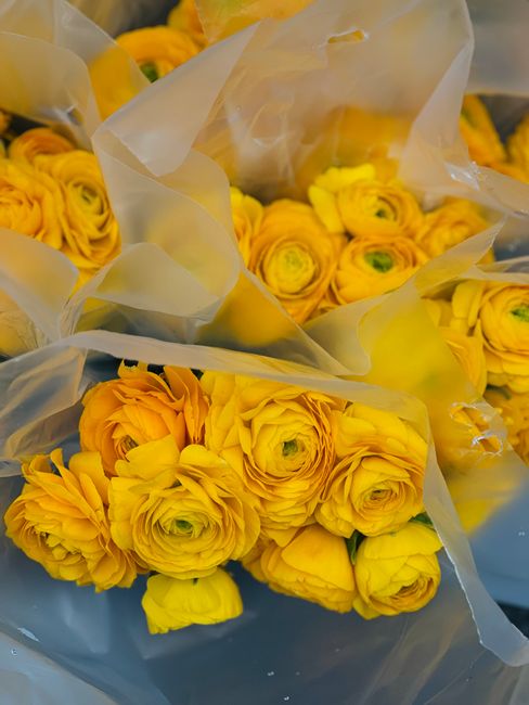 Close-up of bright yellow ranunculus flowers arranged in a bouquet, wrapped in clear and pale yellow tissue paper, with fresh, delicate petals and green stems visible. The bouquet is resting on a surf