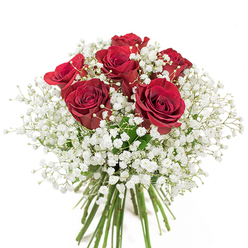 An embodiment of romantic grace, this hand-gathered bouquet radiates a sense of warmth and celebration, capturing the spirit of Earl's Court's leafy streets and vibrant local community. Prominently, six lush red roses bloom with velvety richness at the heart of the arrangement, each petal spiraling outward in a gesture of heartfelt emotion and timeless love. Wrapping these radiant blooms is a profusion of delicate white baby's breath, their countless tiny blossoms diffusing softness and adding an ethereal glow not unlike a mist rising over Bramham Gardens after rain. The composition is masterfully balanced, the soft, cloudlike white contrasts amplifying the deep red's intensity. Below, fresh green stems are bundled and neatly visible, reflecting the freshness and quality expected from a local Earl's Court florist. The luminous white backdrop allows every detail to stand out cleanly, communicating an aura of pure beauty and gentle romance. Ideal for occasions both grand and intimate, whether marking an anniversary, expressing gratitude, or sending a spontaneous declaration of affection to a home near Old Brompton Road, this bouquet perfectly conveys cherished sentiments with every stem and petal.